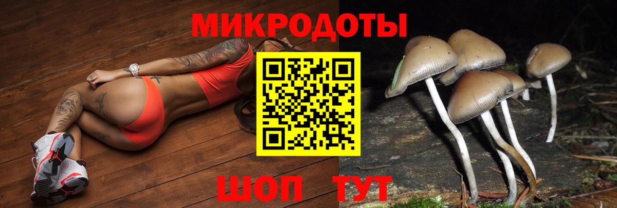 Волгоград  Галлюциногенные грибы ЛСД  Вход с VPN 